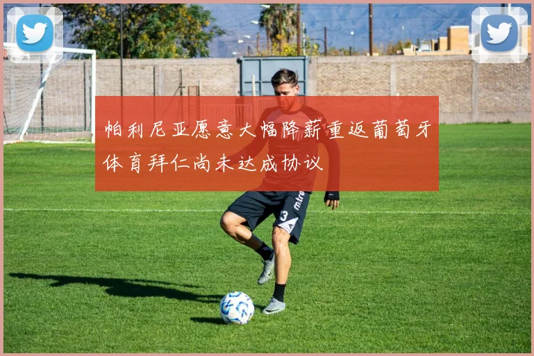 帕利尼亚愿意大幅降薪重返葡萄牙体育拜仁尚未达成协议